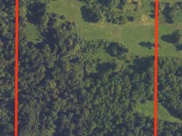 3980 Oak Grove Rd, Alma, IL 62807