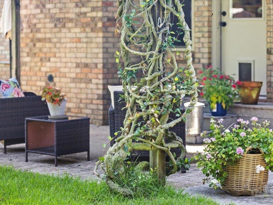 Property Image 31