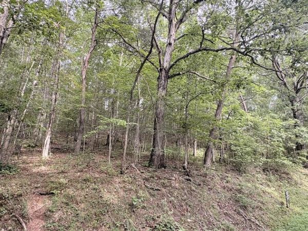 0 W Clayton Rd, Talcott, WV 24981