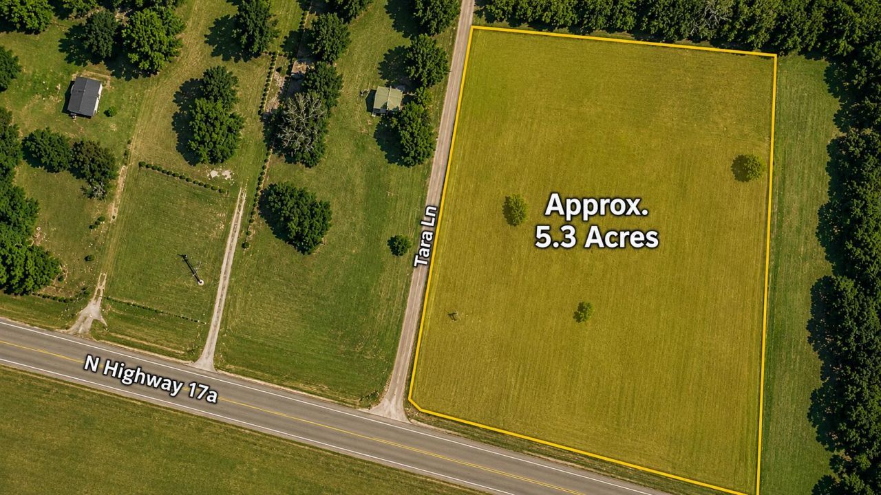 3882 N Highway 17a Photo 1