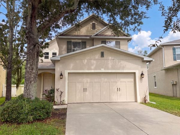 31628 SPOONFLOWER CIRCLE , WESLEY CHAPEL, FL 33545
