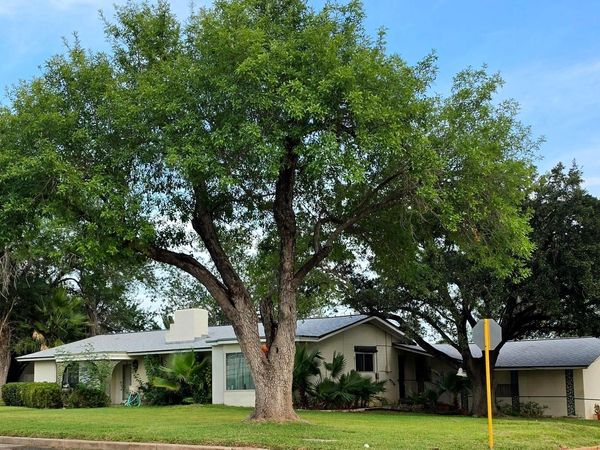 905 Tilden, Cotulla, TX 78014