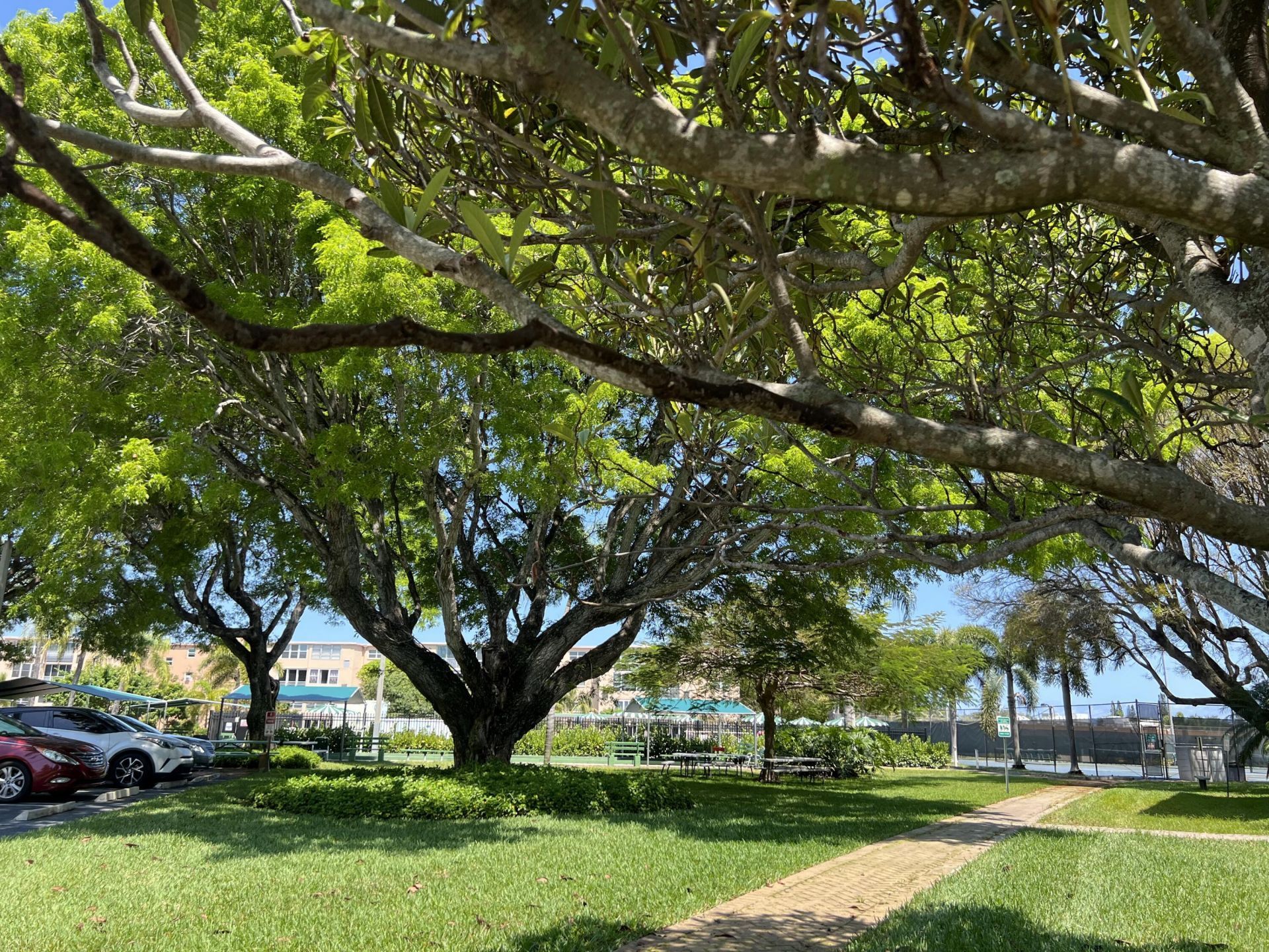 230 NE 26th Avenue, Unit 207, Boynton Beach, FL 33435 Photo