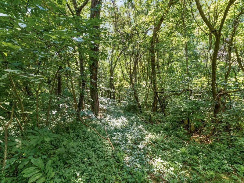 6609 Refugee Road SW, Etna, OH 43062 Photo 45