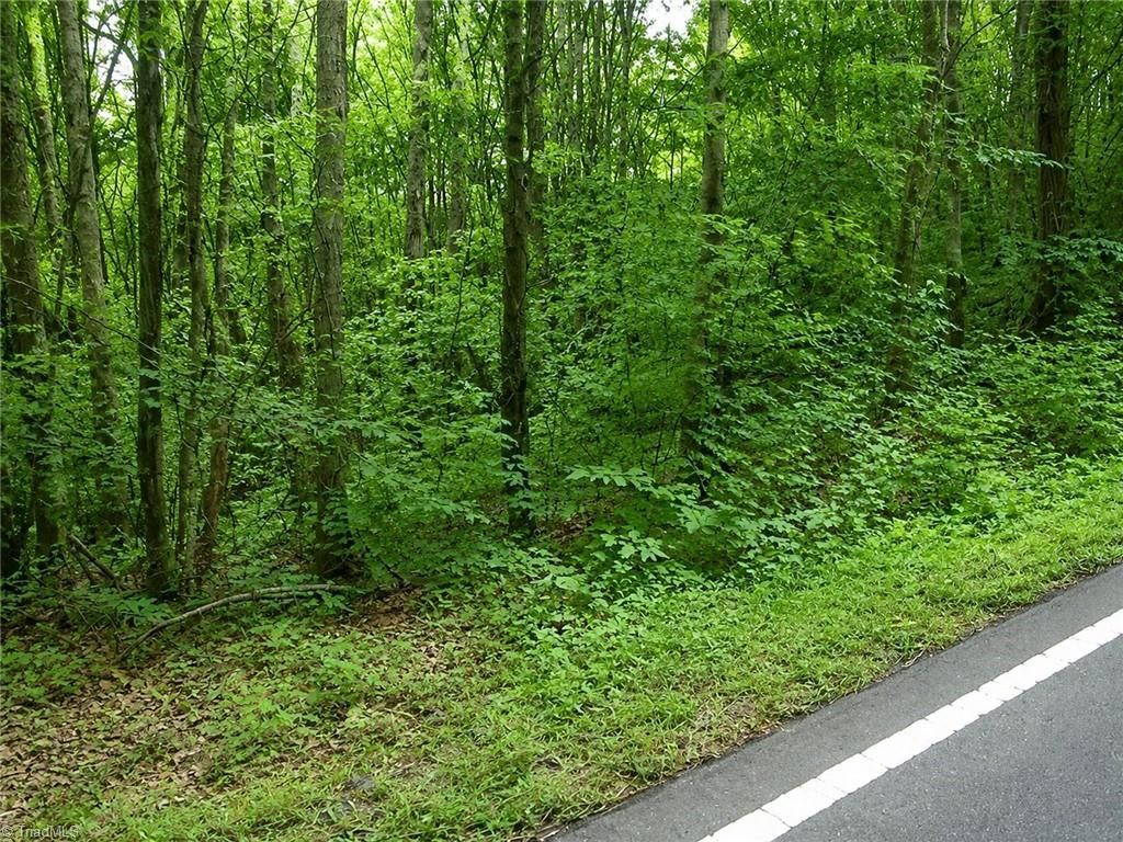 0 Sheppard Mill Road, Danbury, NC 27016 Main Photo