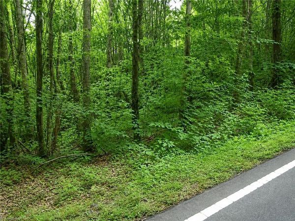 0 Sheppard Mill Road, Danbury, NC 27016
