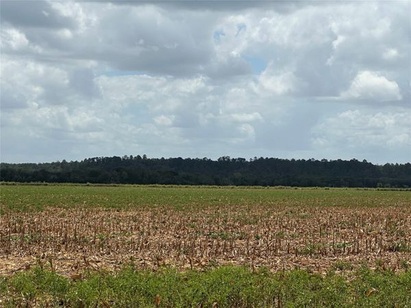 0000 Rabbs Prairie RD, La Grange, TX 78945