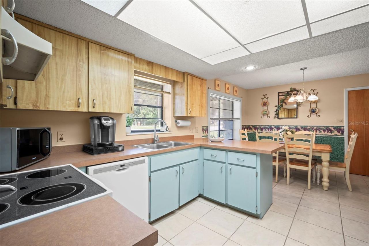 1351 Cr 482n, Lake Panasoffkee, FL 33538 Photo