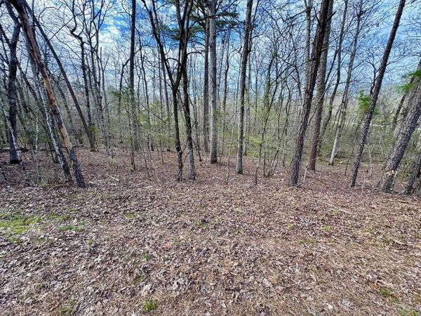 3 Saldana Way , Hot Springs Village, AR 71909