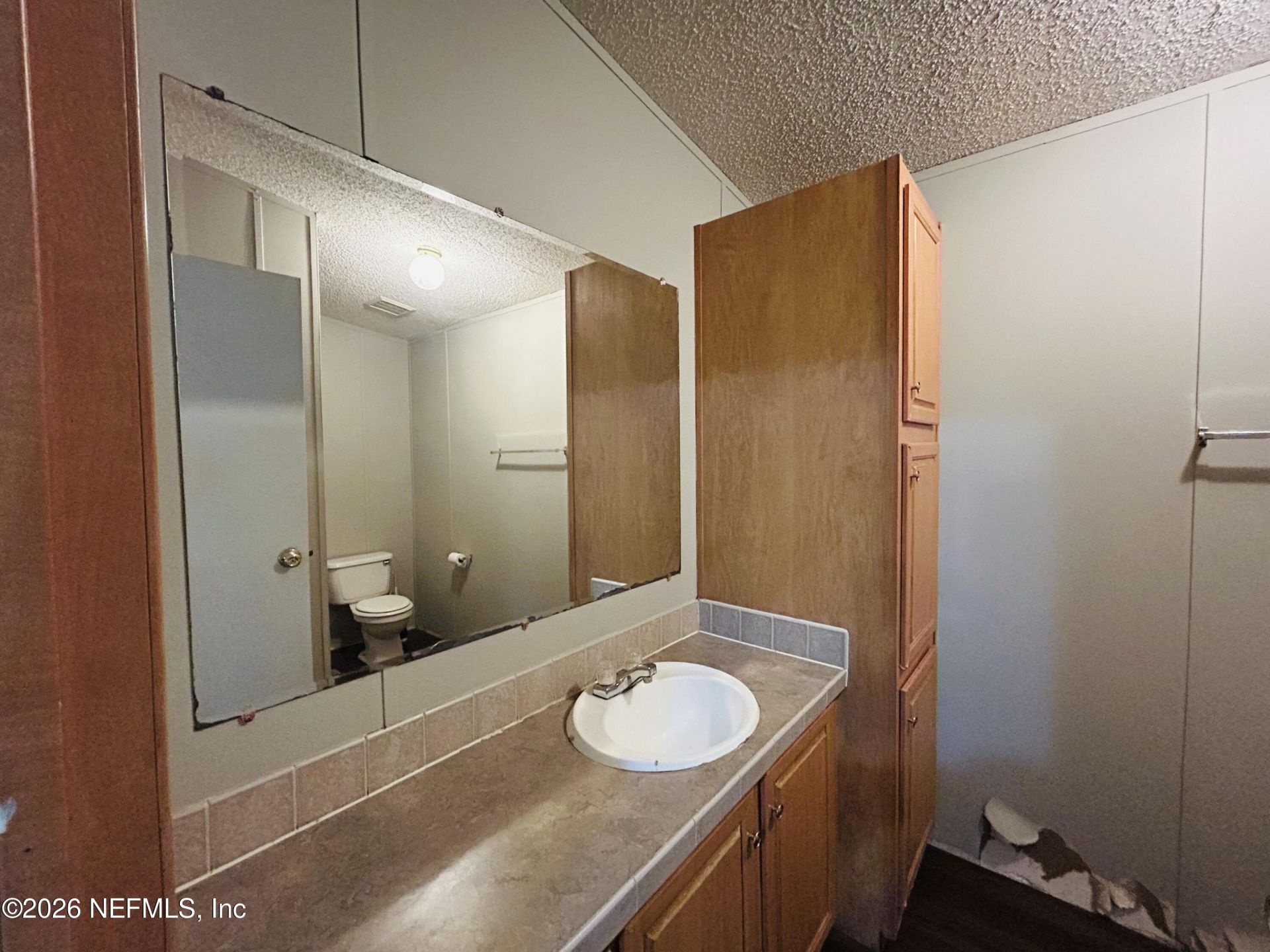 13743 Cedar Creek Drive, Sanderson, FL 32087 Photo