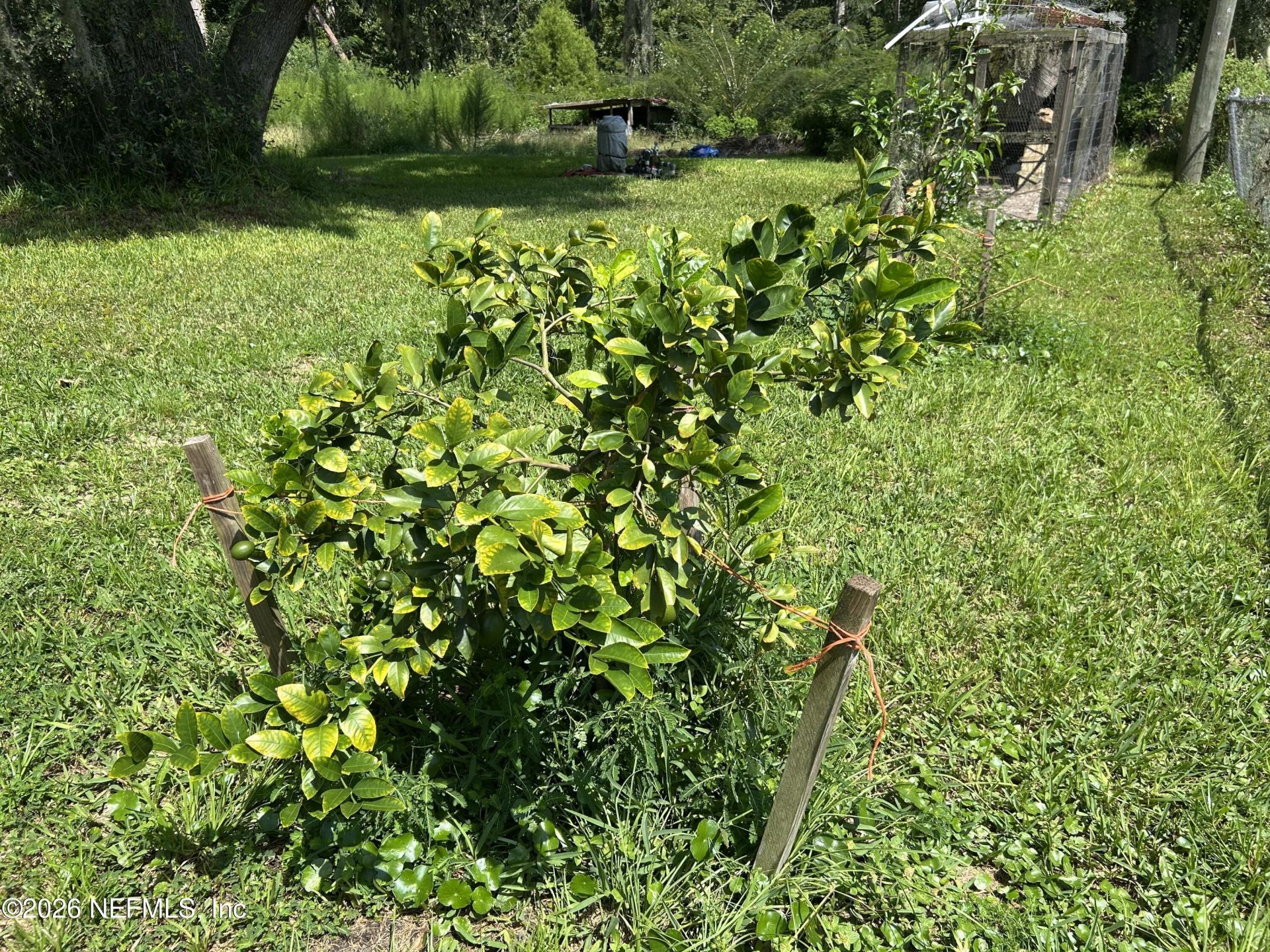 13743 Cedar Creek Drive, Sanderson, FL 32087 Photo