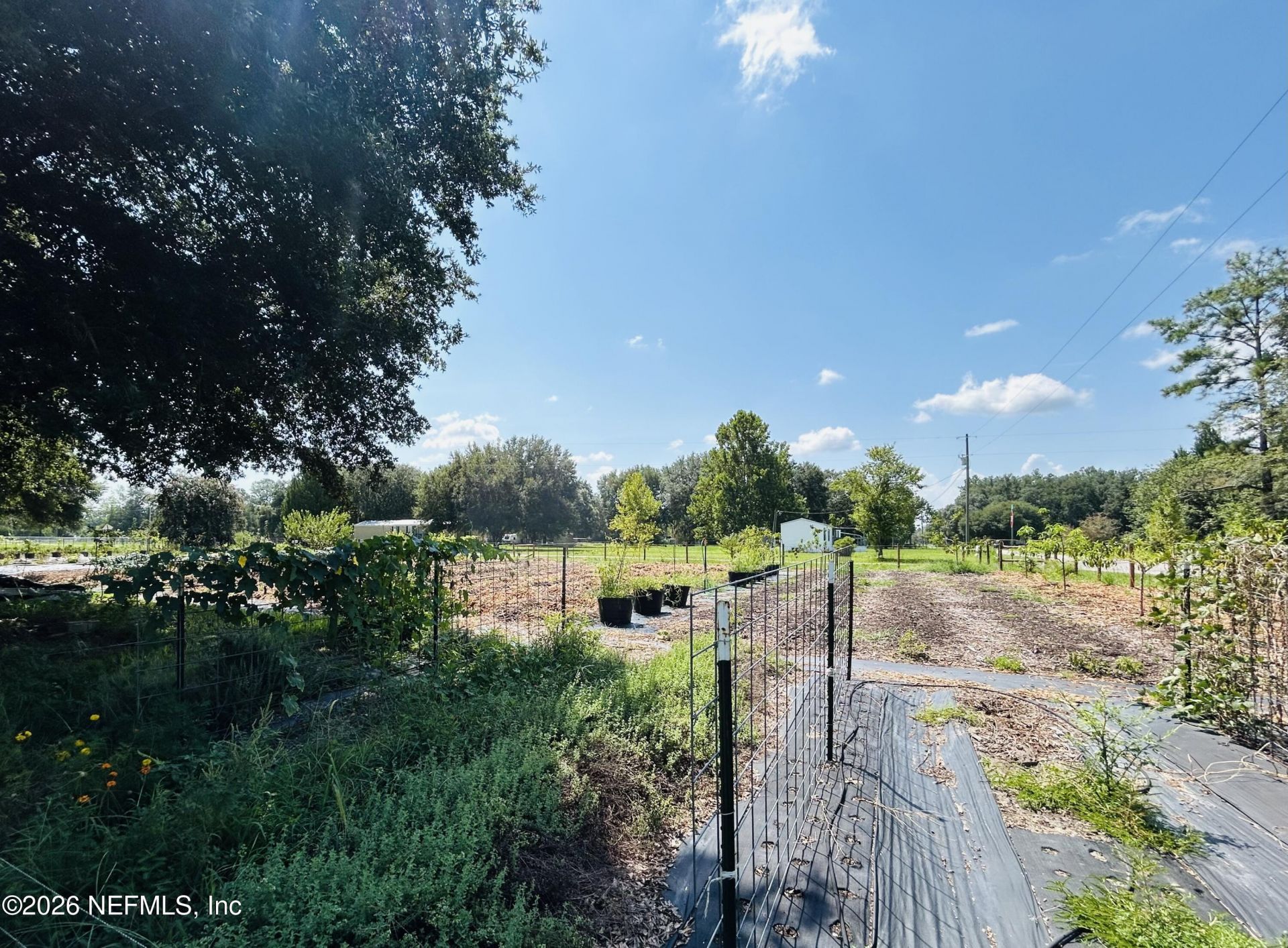 13743 Cedar Creek Drive, Sanderson, FL 32087 Photo