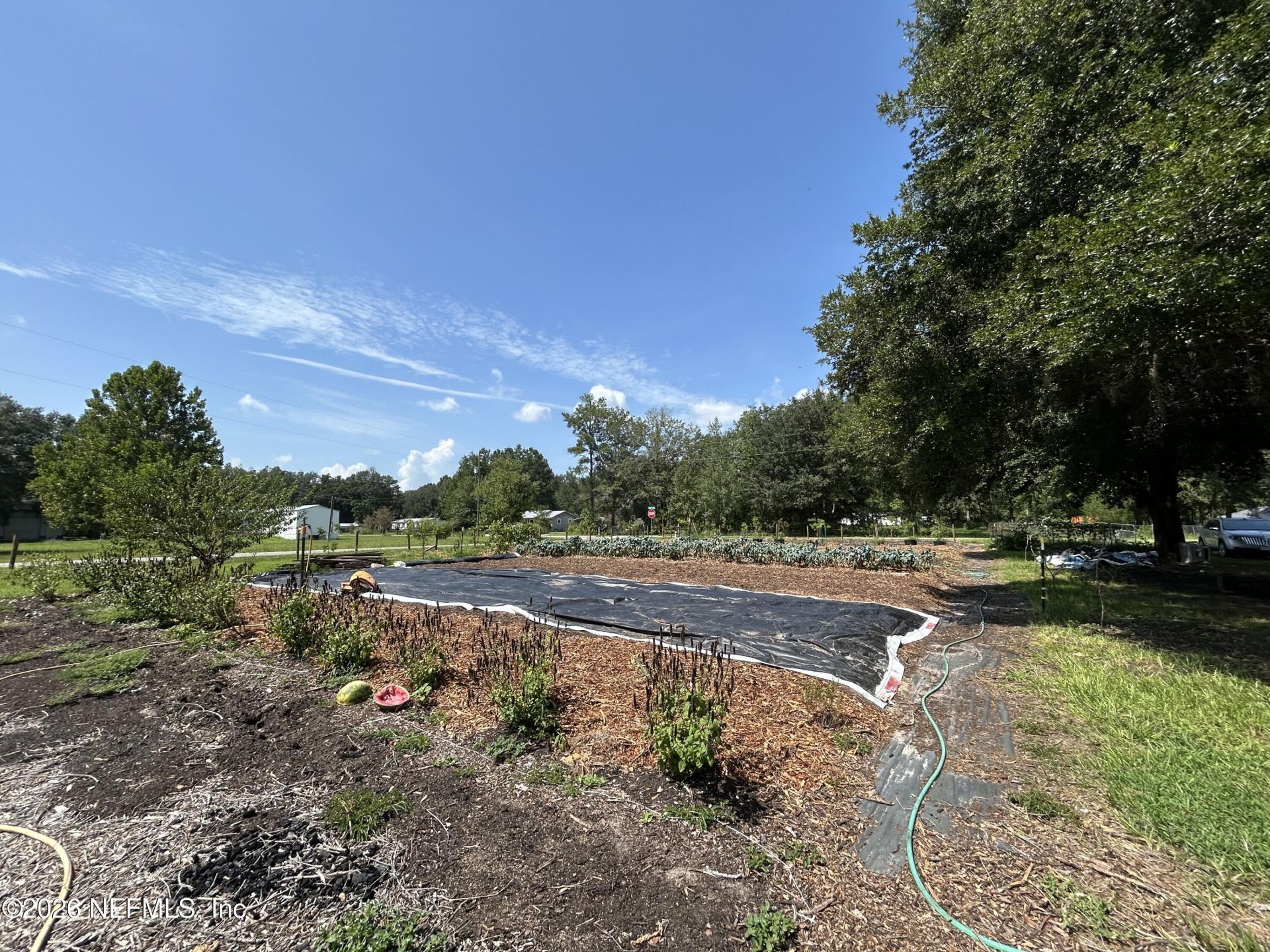 13743 Cedar Creek Drive, Sanderson, FL 32087 Photo