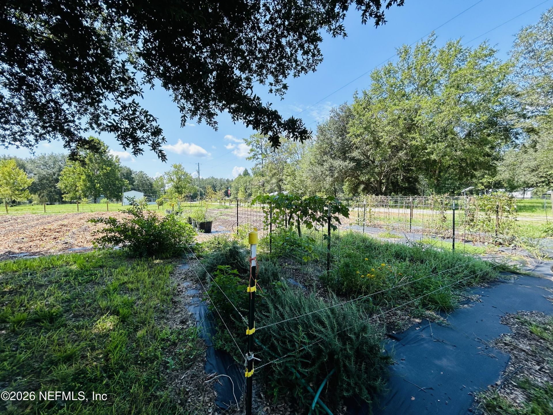 13743 Cedar Creek Drive, Sanderson, FL 32087 Photo