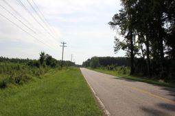 00 Norway Road photo 4