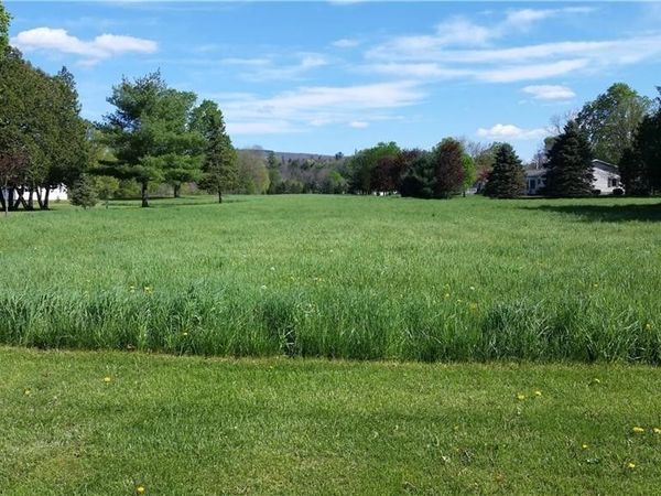 0 Gibson Street, Dansville, NY 14437