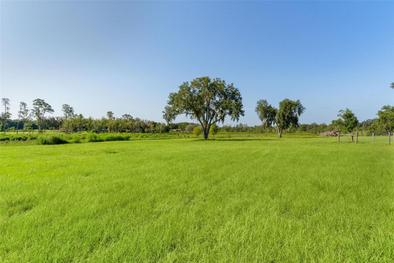16215 Douglas Road, Groveland, FL 34736 Photo