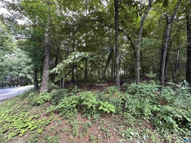11 FAIRWAY OAKS LN , Wintergreen Resort, VA 22967
