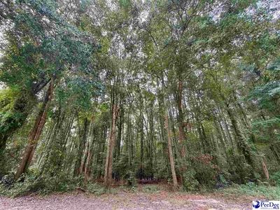 Pleasant Valley Road, Cheraw, SC 29520