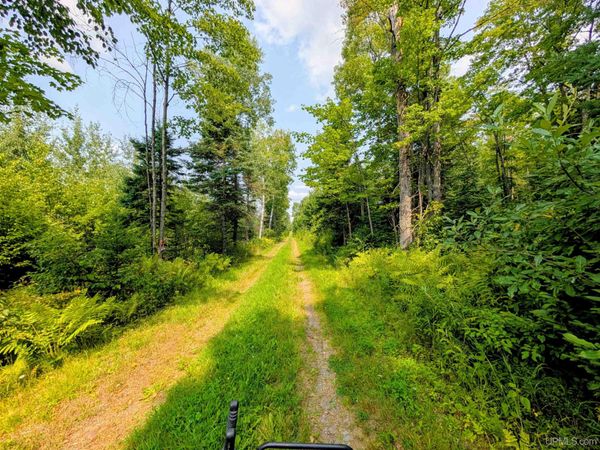 160 acres Camp Gibbs Road, Bates Twp, MI 49935
