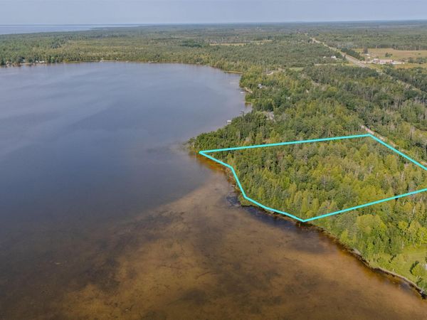 TBD W N Gulliver Lake Road, Doyle Twp, MI 49840