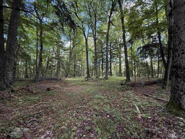 38.14 Acres US Highway 2 Highway, Mueller Twp, MI 49840