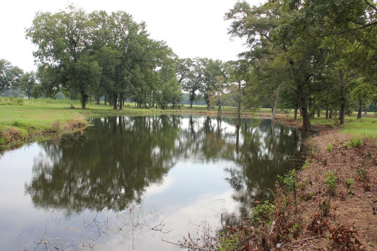 00 4 Holes Road Photo 13