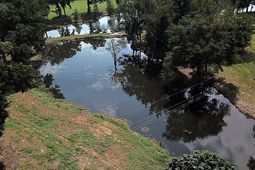 00 4 Holes Road photo 4