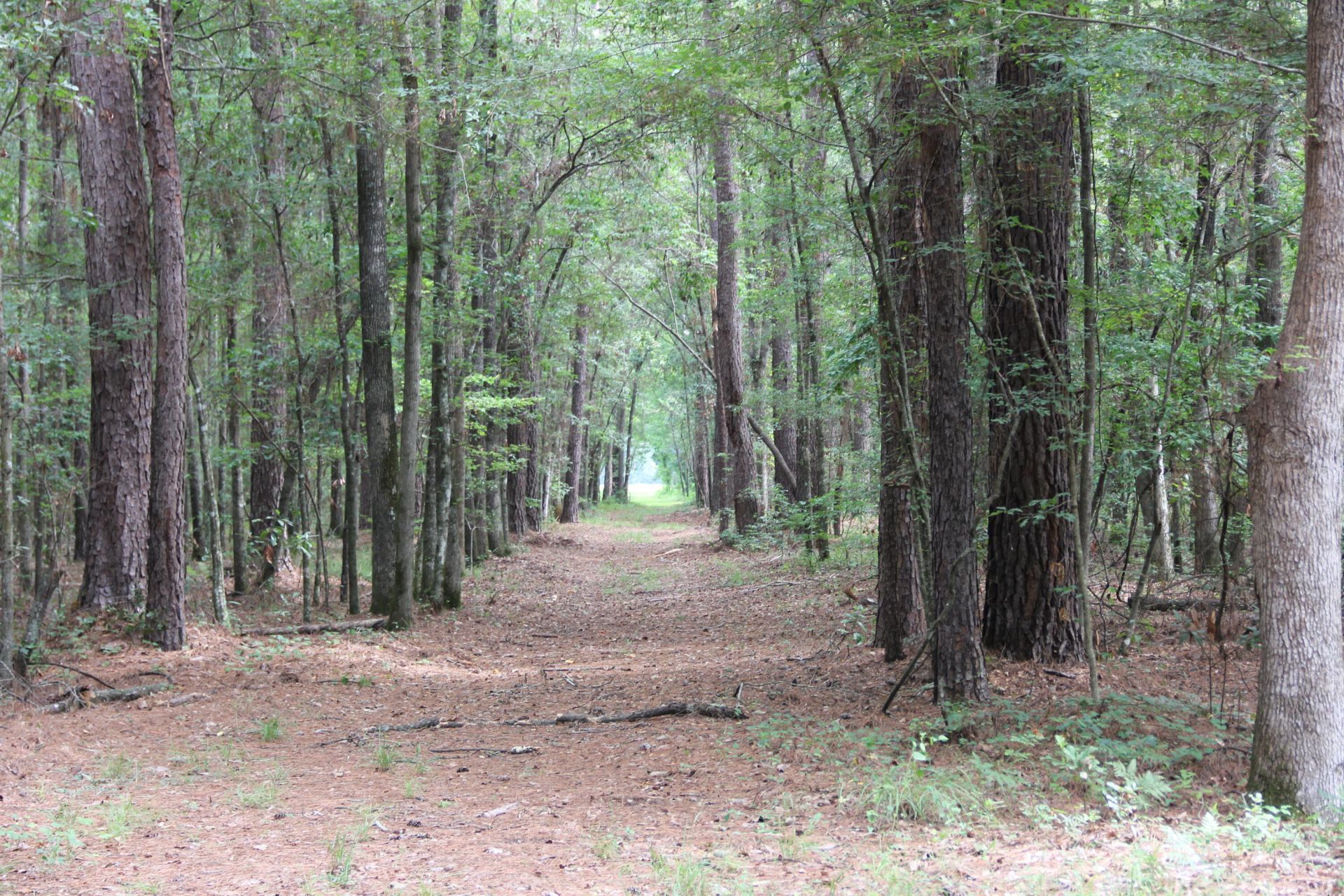 00 4 Holes Road Photo 20