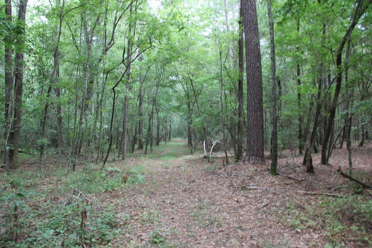 00 4 Holes Road Photo 25
