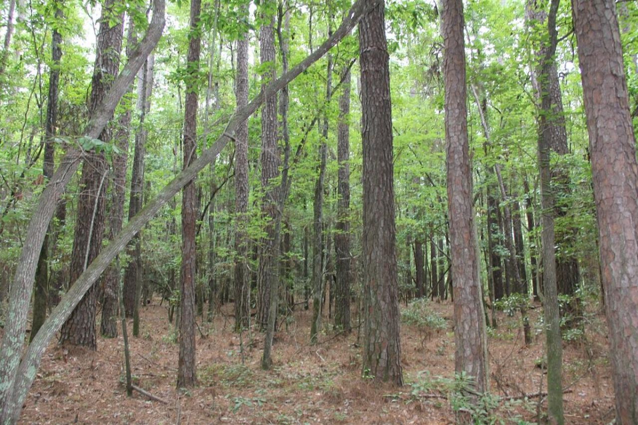 00 4 Holes Road Photo 26