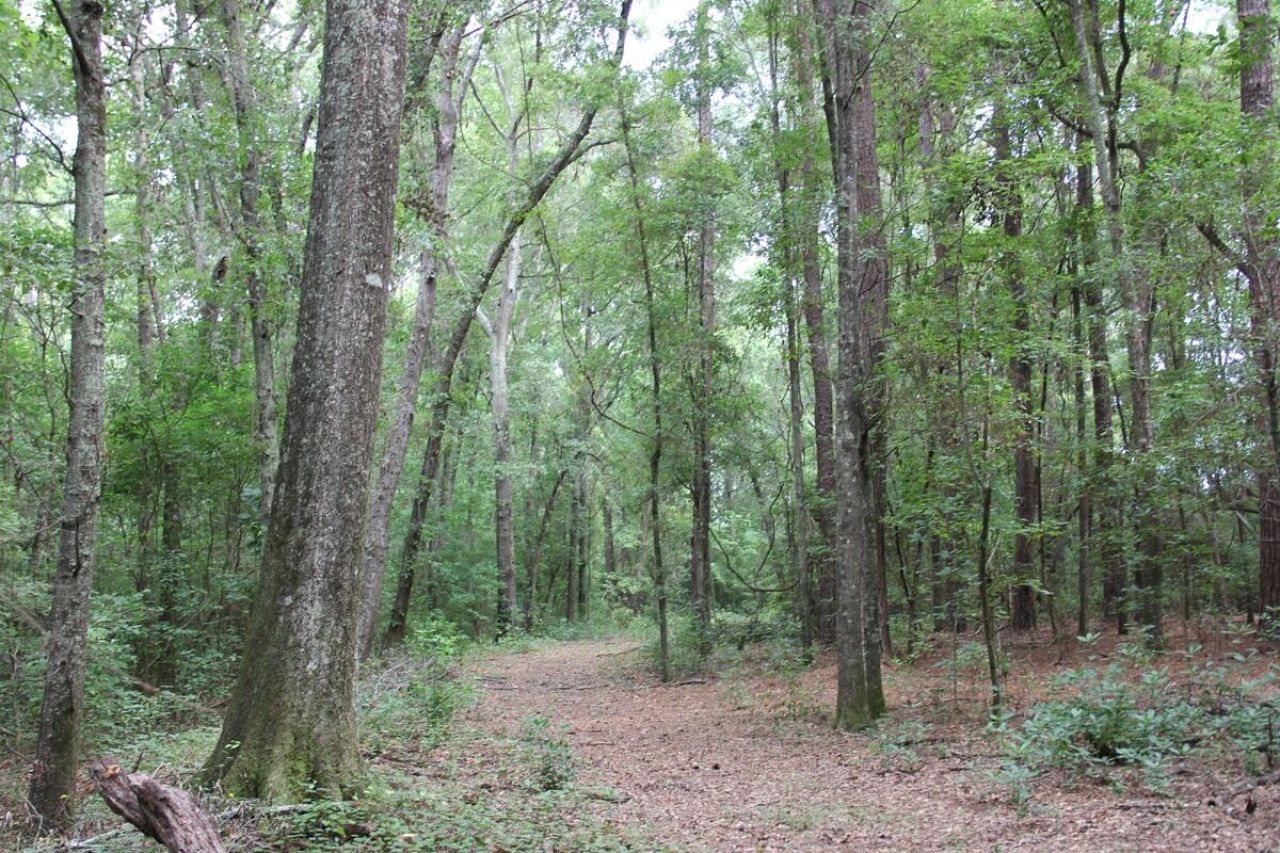 00 4 Holes Road Photo 28