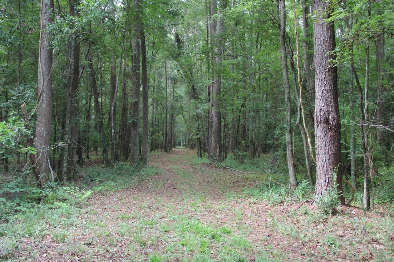 00 4 Holes Road Photo 30