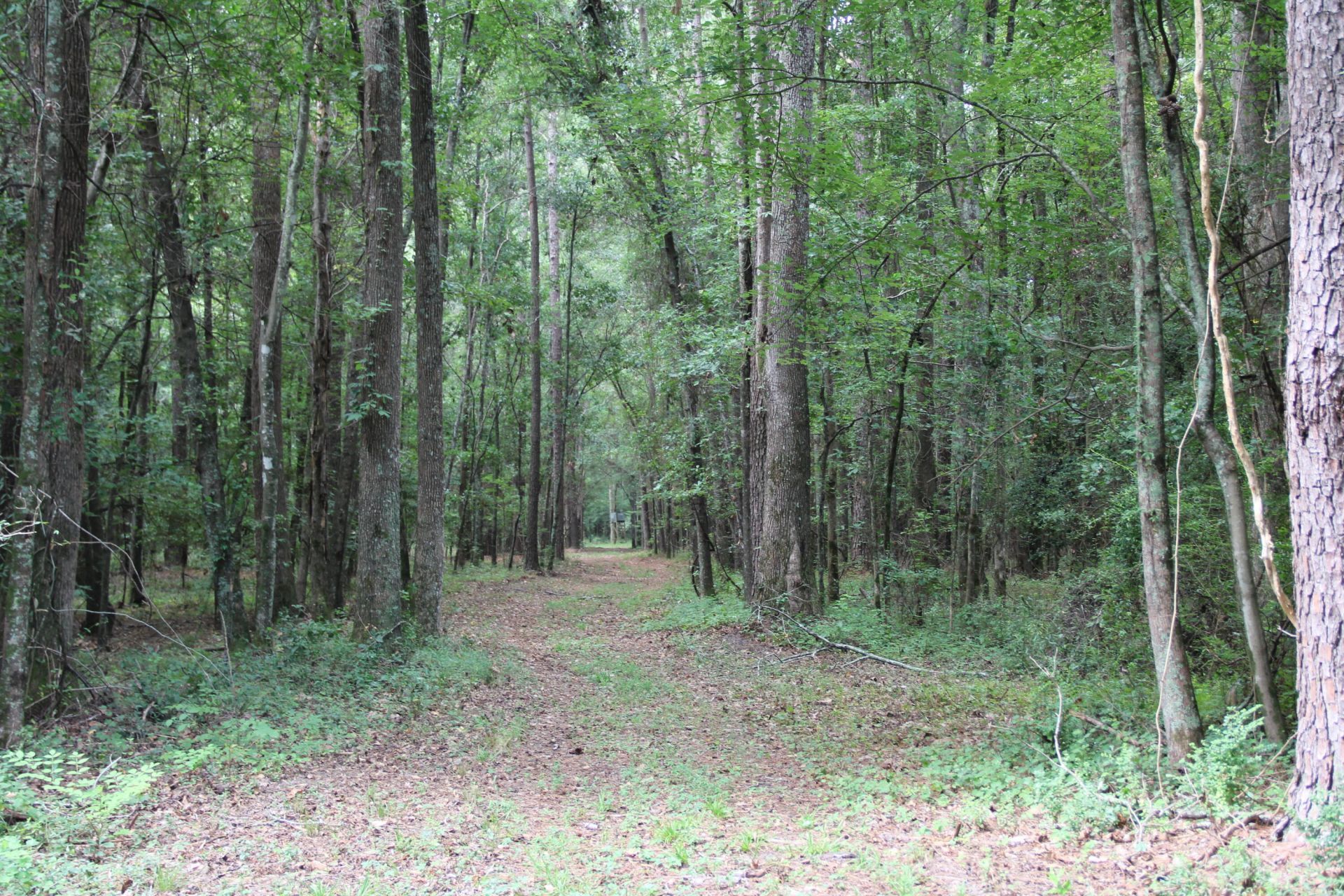 00 4 Holes Road Photo 31