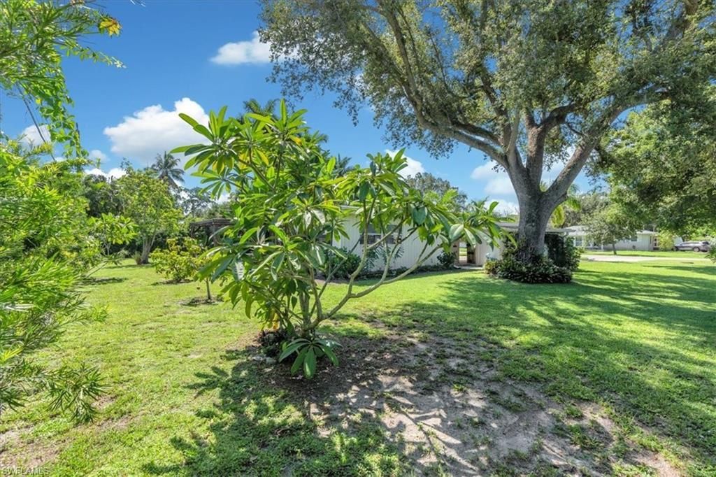 1635 Grove Ave , Fort Myers, FL 33901 Photo