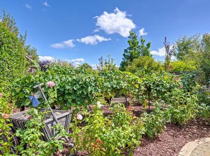 4038 Reni Ct, El Dorado Hills, CA 95762 Photo