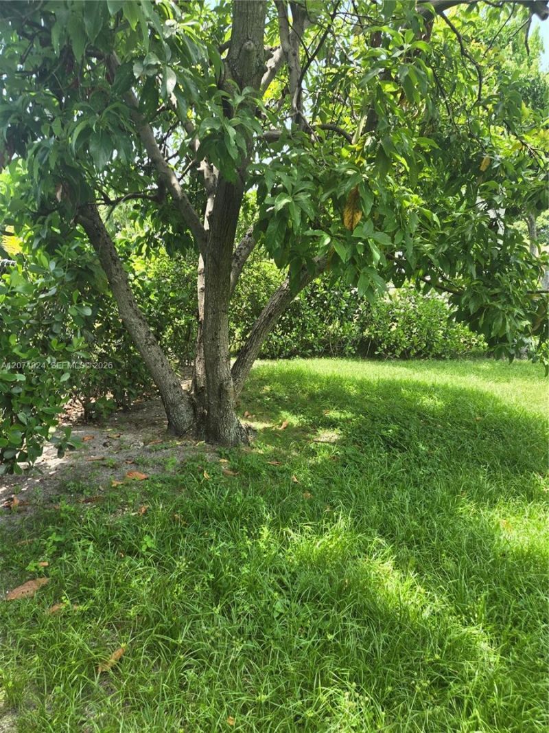 1170 NE 111th St , Unit 1170, Miami, FL 33161 Photo