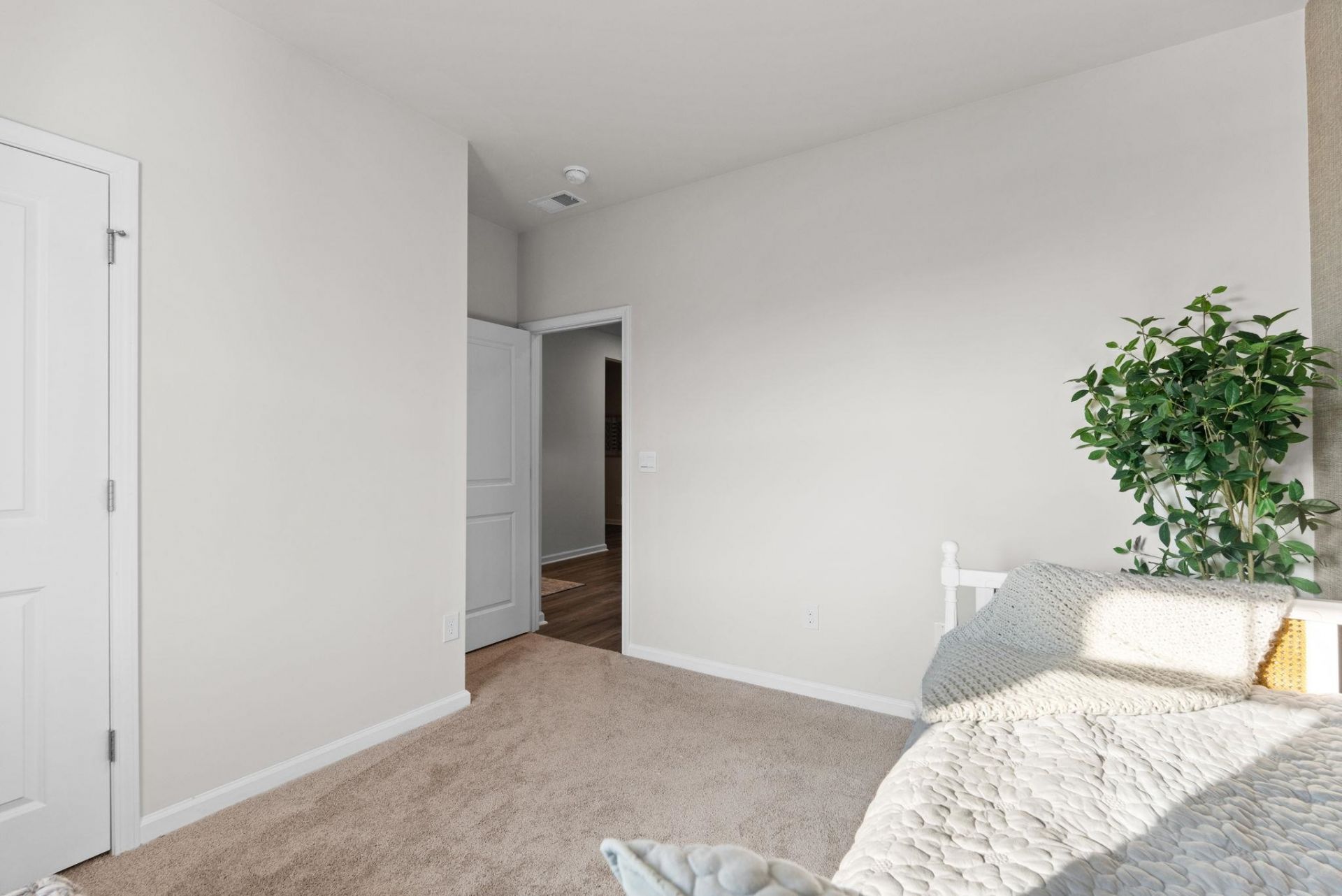214 Ridley St Photo 22