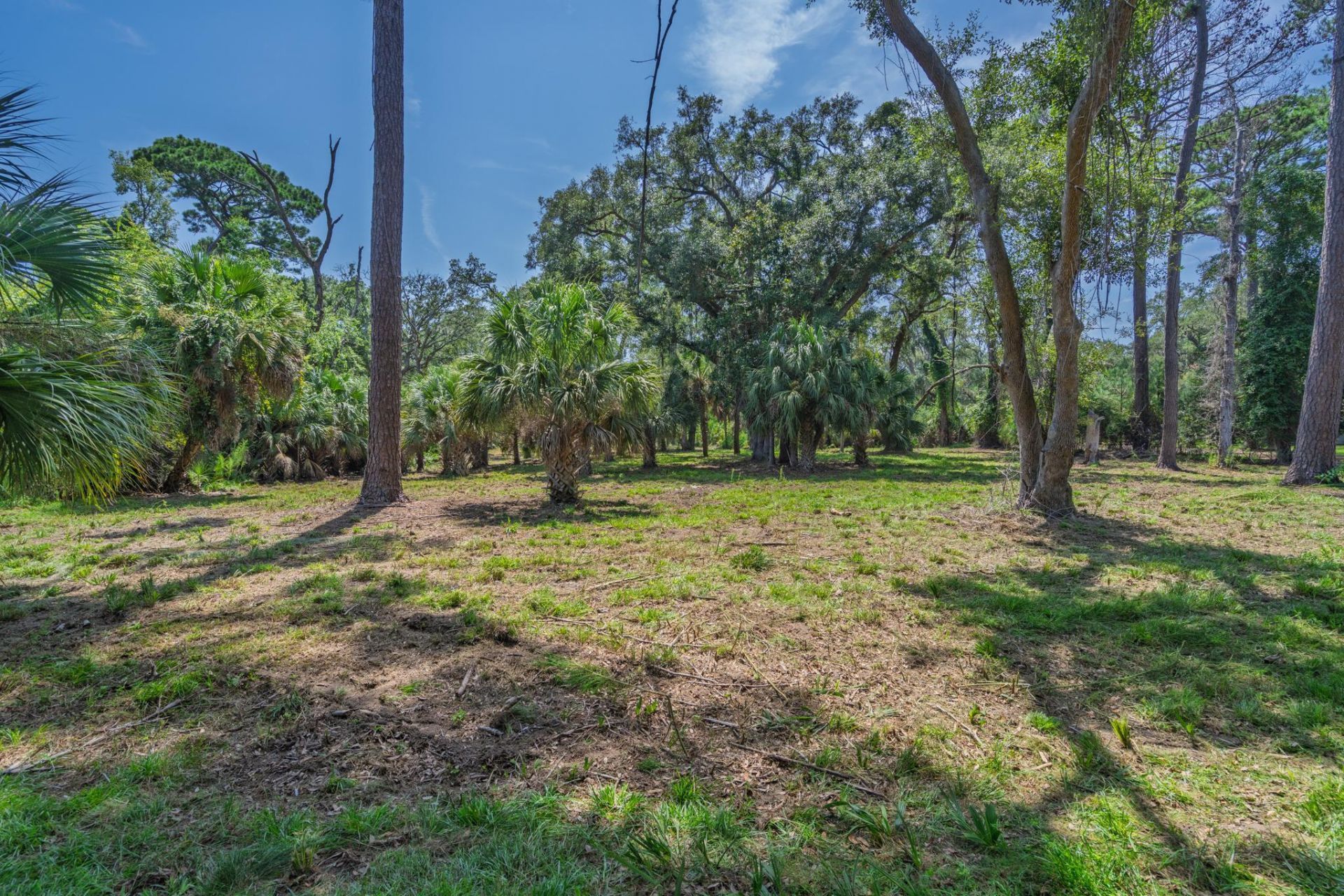 0 Palmetto Road Photo 1
