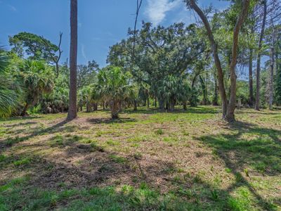 0 Palmetto Road, Edisto Island, SC 29438