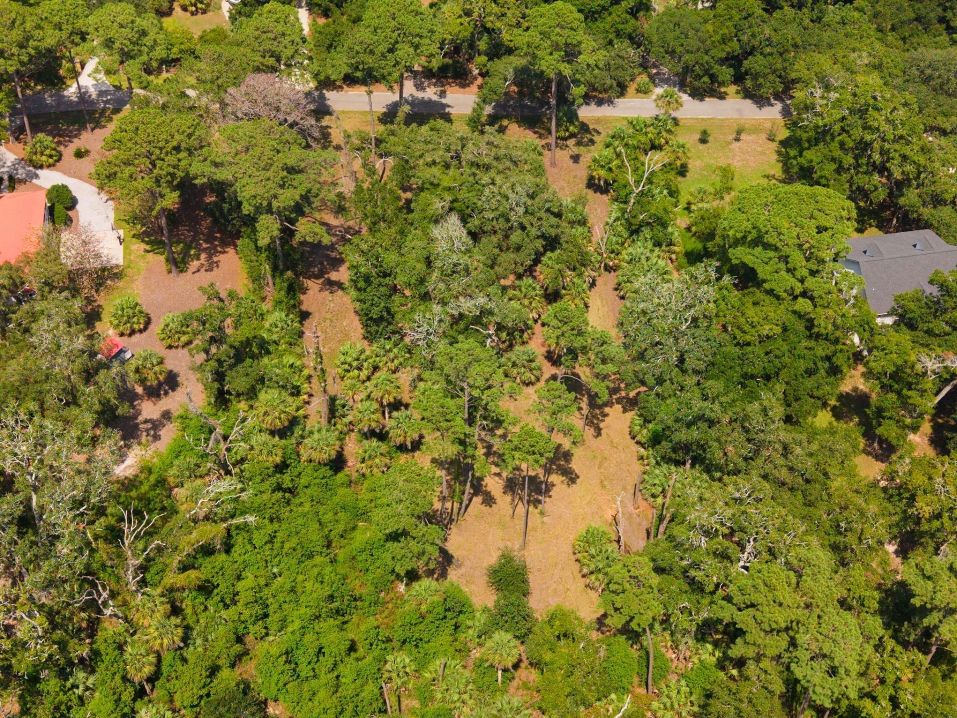 0 Palmetto Road Photo 12