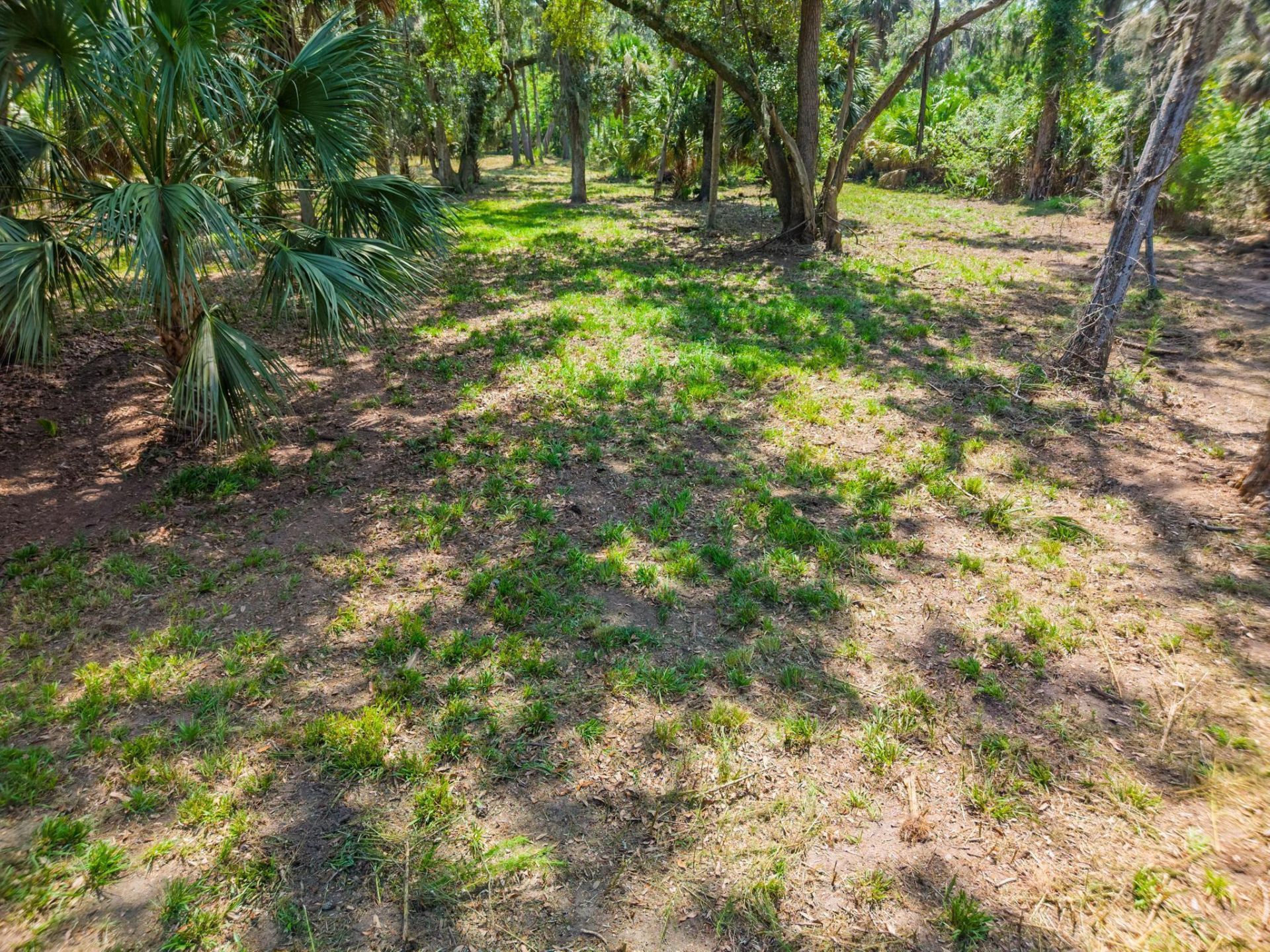 0 Palmetto Road Photo 17