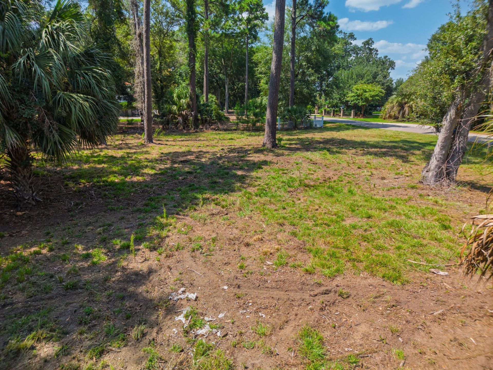 0 Palmetto Road Photo 18