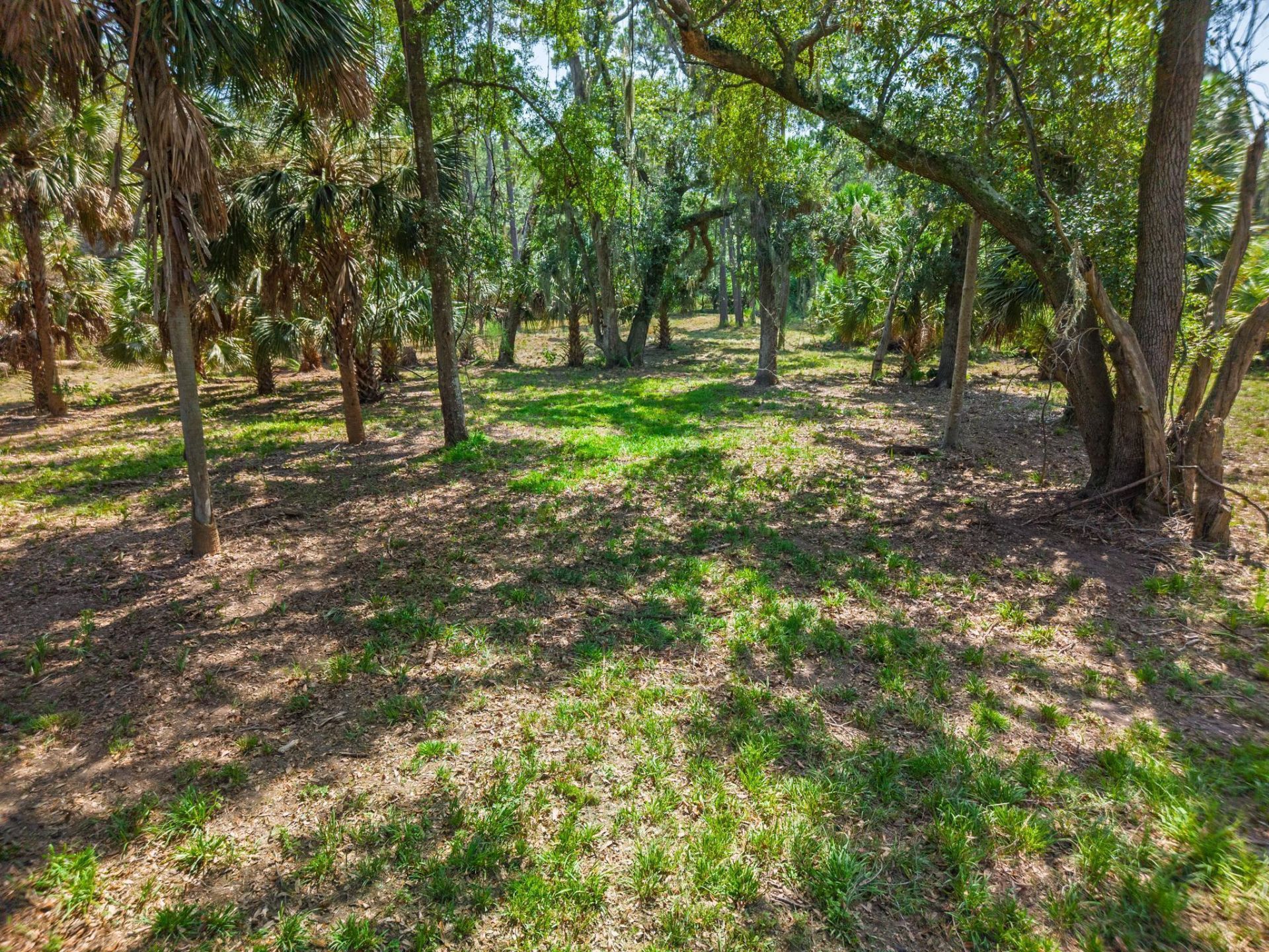 0 Palmetto Road Photo 19