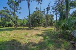 0 Palmetto Road photo 4