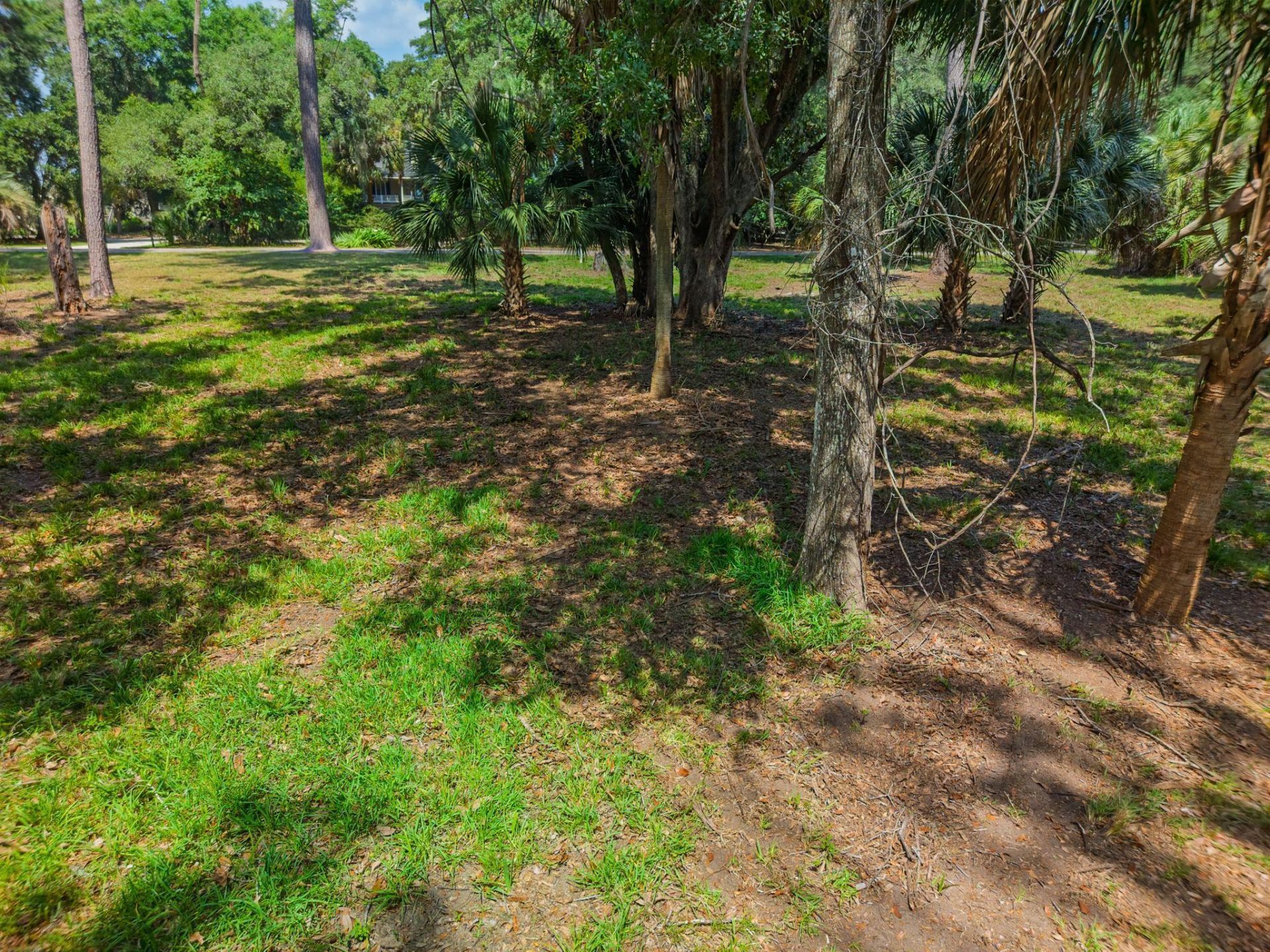 0 Palmetto Road Photo 20