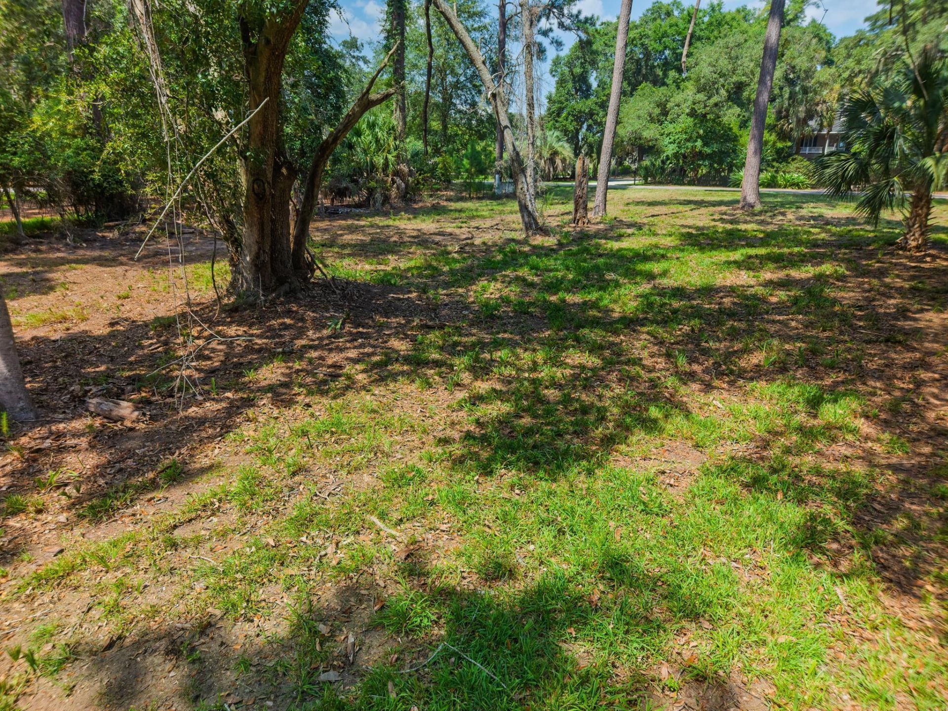 0 Palmetto Road Photo 21