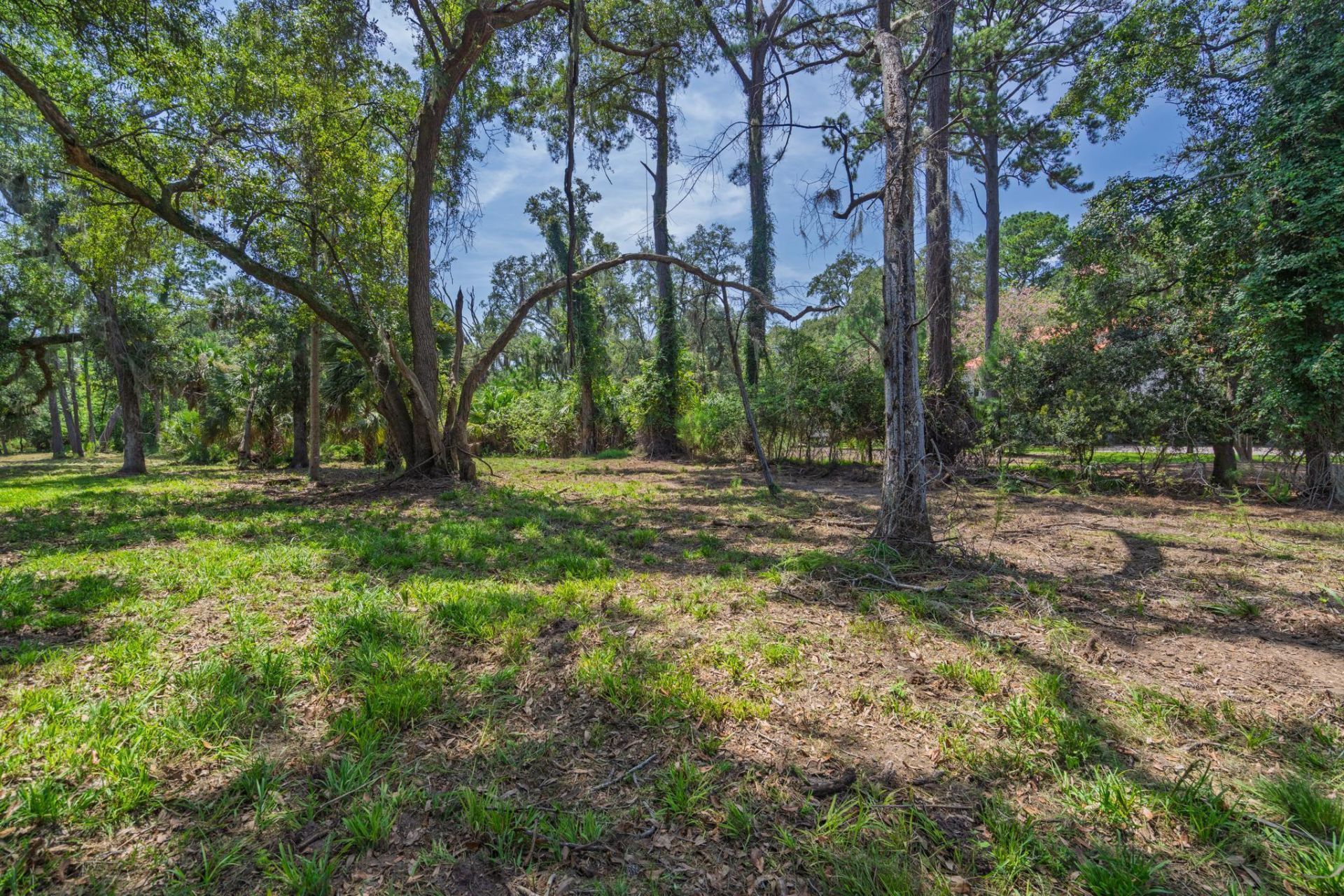 0 Palmetto Road Photo 3