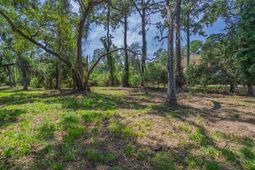 0 Palmetto Road photo 4
