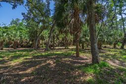 0 Palmetto Road photo 4